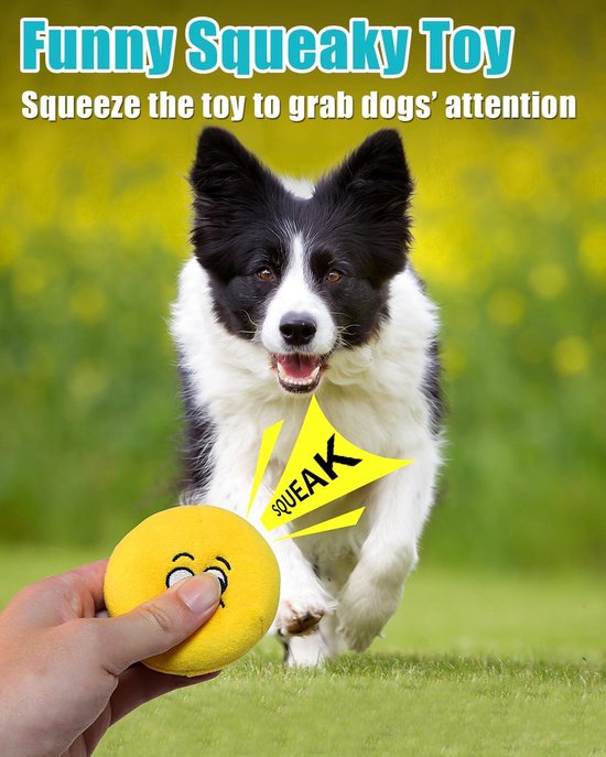 1034137_5