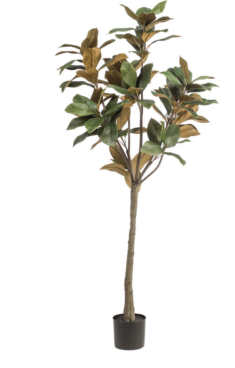 Emerald Kunstboom Magnolia Denudata 150cm - Kunstplant voor binnen - Magnolia plant - Magnolia boom Groen