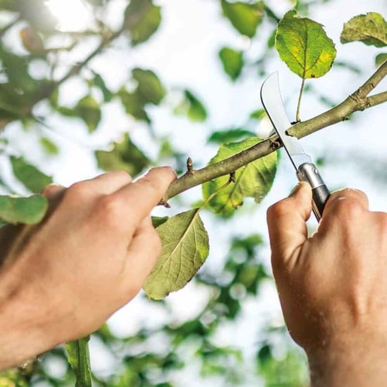 Cellfast Serie - Tuinmes - Roestvrijstalen Lemmet - Inklapbaar - Ergonomische Handgreep van Cellfast — afbeelding 3