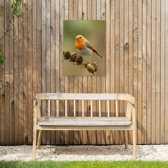 Tuinschilderij voor buiten 50x70 cm - Tuindecoratie Vogel - Roodborstje - Dennenappel - Tak - Herfst - Tuinposter op canvas - Tuin muurdecoratie - Buitenschilderij decoratie - Schutting wanddecoratie - Buitencanvas