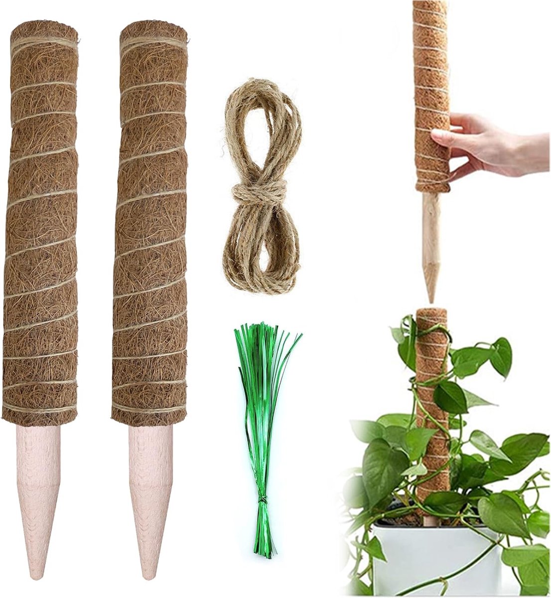 Klikhulpmiddel voor Monstera - Kokosvezel - Mosspaal voor Plantondersteuning - Klimhulp voor Binnenplanten zoals Monstera - Verpakking van 2 - 30 cm met Juten Touw en Plantenbinders