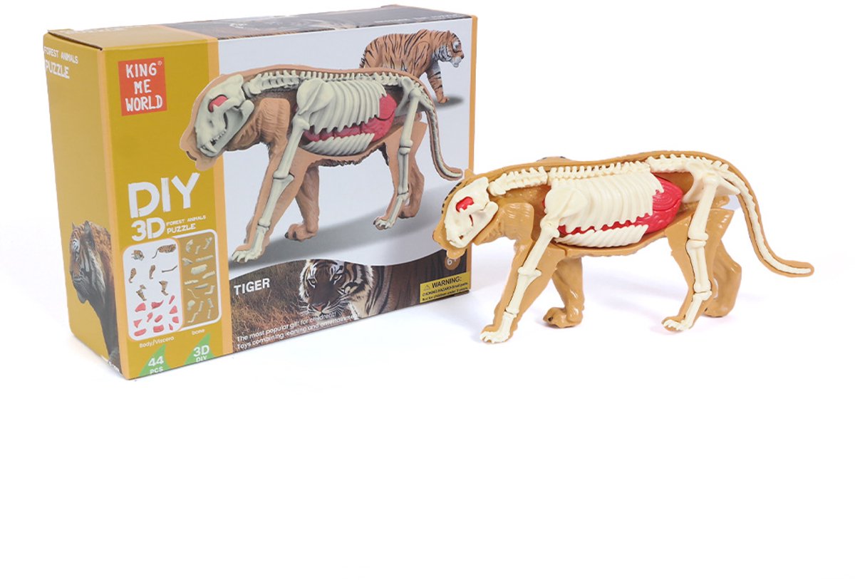 PIA Soft Toys - 3D Anatomie - Tijger