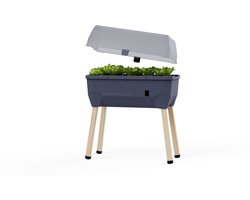 Gusta Garden - Sammy Salad - Slimme kruidenpot met 15 L watertank en Deksel - Kweekbak - Plantenbak - Antraciet