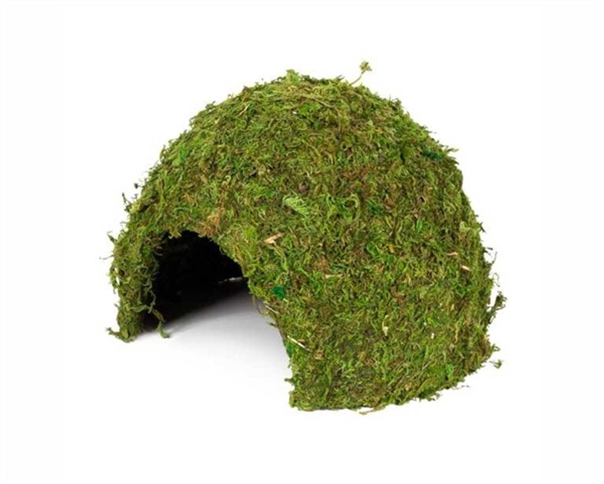 Hobby Terrarium Jungle Cave mosgrot 11-25,5 cm | natuurlijke schuilplaats voor regenwoudterrarium 11 x 11 x 9CM