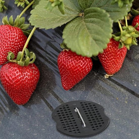 Diealles Shine Mini-oven voor camping, kachel voor campingtent, van roestvrij staal, draagbaar, verbrandt vloeibaar petroleumgas (LPG Diealles Shine Mini-oven voor camping, kachel voor campingtent, van roestvrij staal, draagbaar, verbrandt vloeibaar petroleumgas (LPG