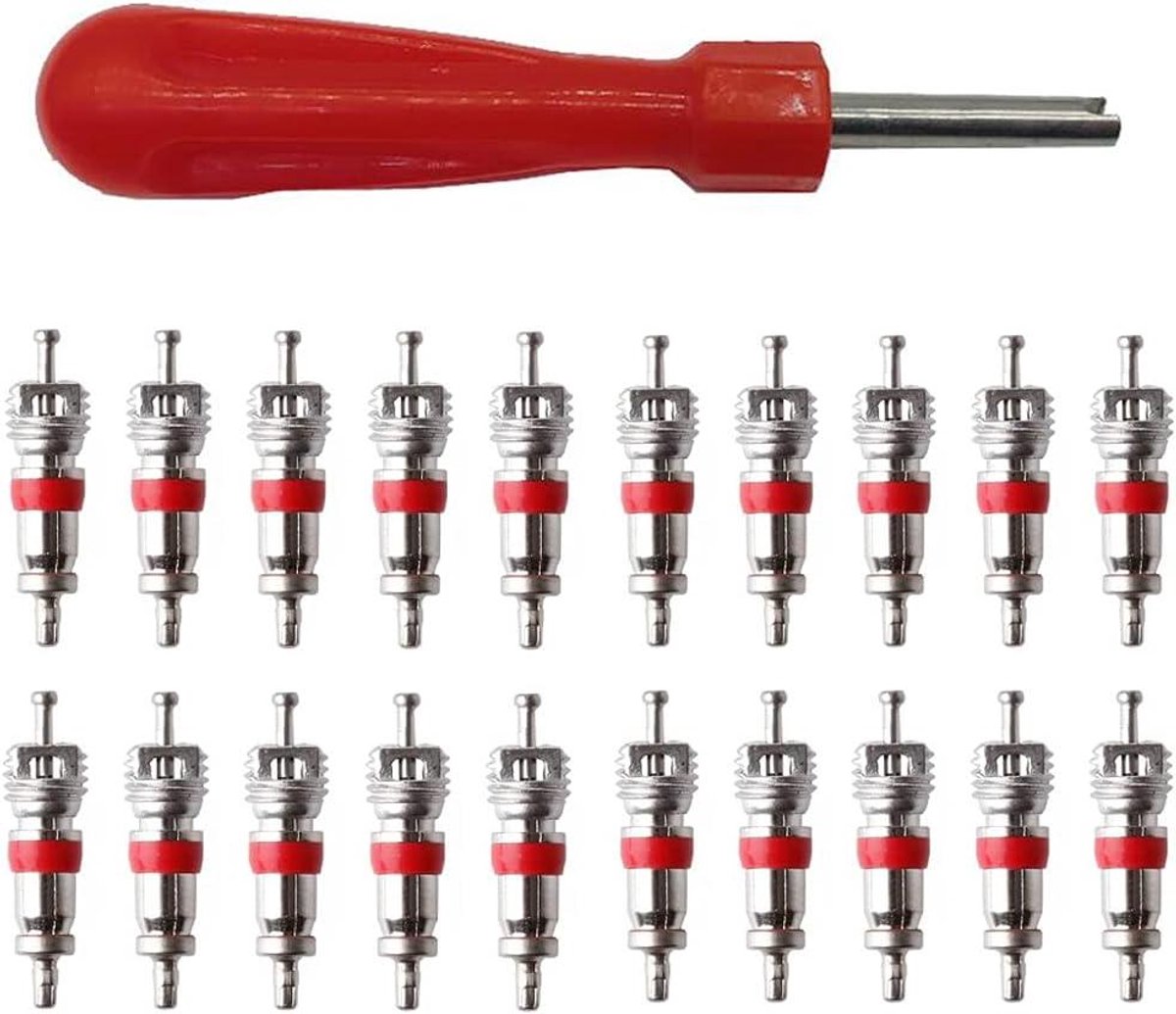 Allecto Plus - Bandventiel Core Remover Tool Set - Reparatieset met 20 klepkernen - Auto Fiets Motor Truck Motorfiets