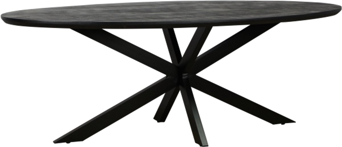 Meubelplaats Eettafel Colorado ovaal mangohout 200x100 cm - verjongde rand - Zwart