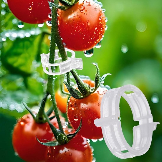 Waterwagen voor bloeiende planten in Bedum - Dagblad van het Noorden