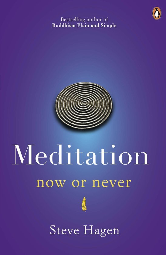 Boek 'Meditation now or never' van Steve Hagen, met een zilverkleurig spiraalvormig object op een paarse achtergrond.