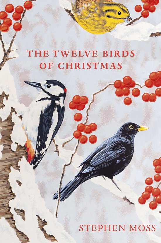 The Twelve Birds of Christmas - cover