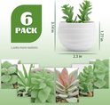 Close-up van een witte pot met een groene succulente plant, met afmetingen van 3,14 inch hoog en 2,3 inch breed.