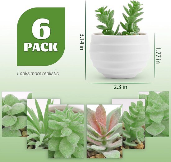 Close-up van een witte pot met een groene succulente plant, met afmetingen van 3,14 inch hoog en 2,3 inch breed.