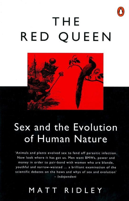 Red Queen - cover