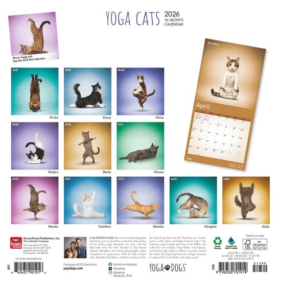 Cats Weekomleg Kalender 2026 Kopen? Eenvoudig en snel online