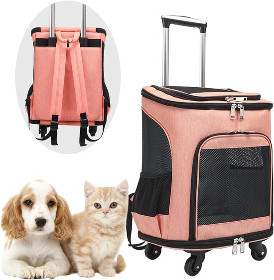 Apollo Walker Rugzak voor huisdierendrager voor grote/kleine katten en honden, puppy's, veiligheidsfuncties en rugsteun voor kussen, voor reizen, wandelen, buitengebruik (grijs