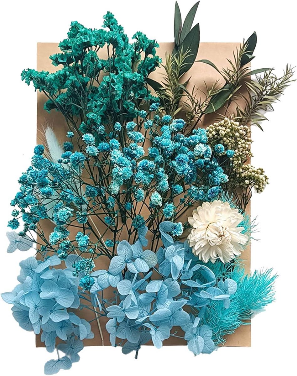 JGS Premium - Gedroogde Bloemen Mix voor Knutselen en Decoratie - Natuurlijke Kunstbloemen