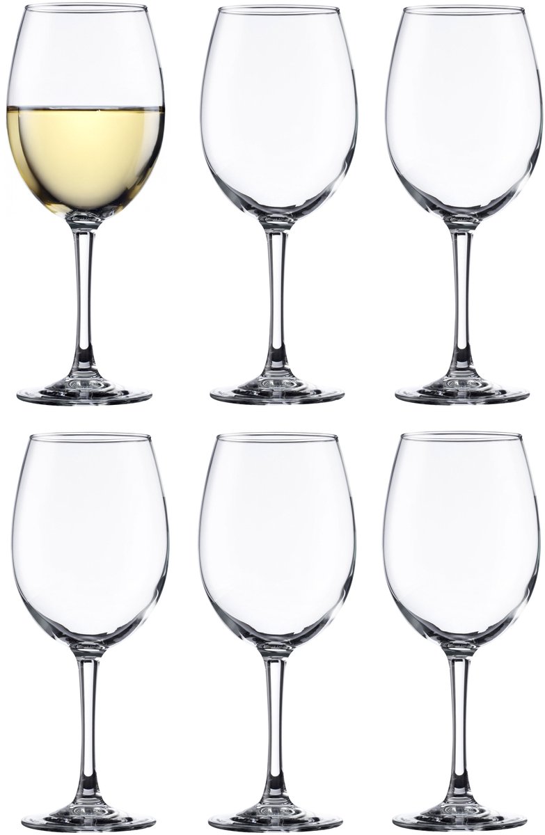 Vicrila wijnglazen Syrah - 6x stuks - voor rode en witte wijn - 250 ml - 18 x 7 cm - transparant - Horeca kwaliteit - Hard glas