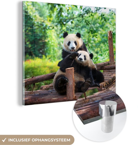 Glasschilderij - Panda - Brug - Natuur - Plexiglas Schilderijen