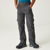 Pantalon de randonnée zippé The Highton Stretch de Regatta - enfant - gris
