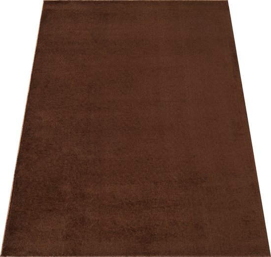 Tapiso Tapis câlin à poils longs marron antidérapant pour salon - 80 x 150 cm