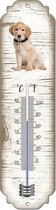 Thermomètre: Collie / race de chien / température intérieure et extérieure / -25 à + 45C