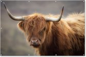 Muurdecoratie Schotse hooglander - Licht - Portret - 180x120 cm - Tuinposter - Tuindoek - Buitenposter