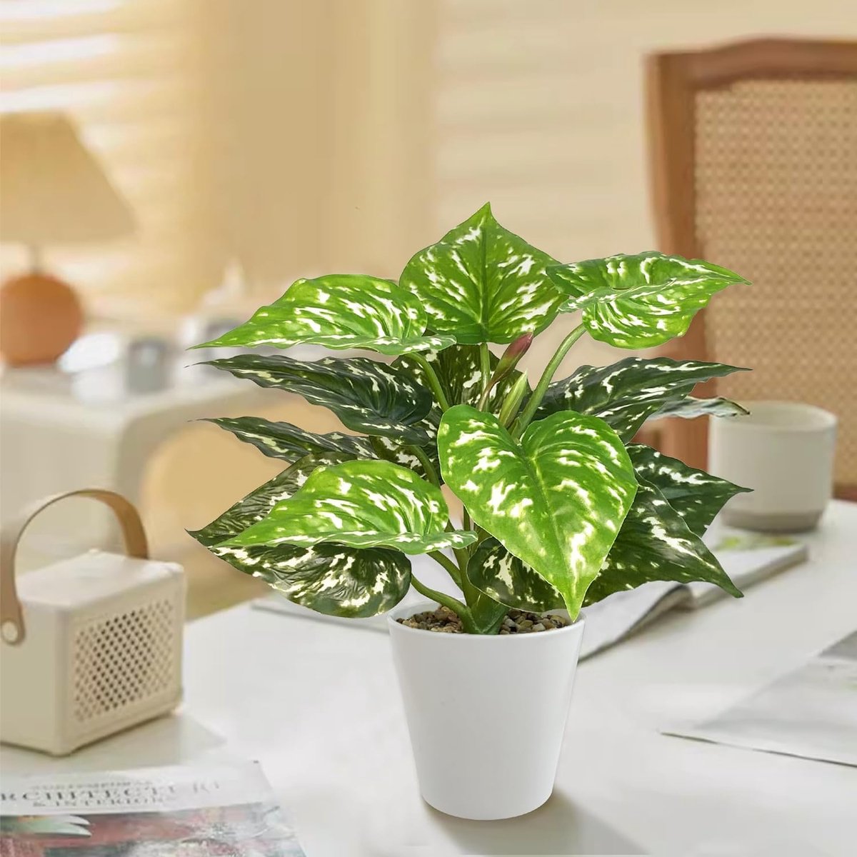 Kunstplanten kopen? | Shop online! | DKW Woonvision Kunstplanten kopen? | Shop online! | DKW Woonvision