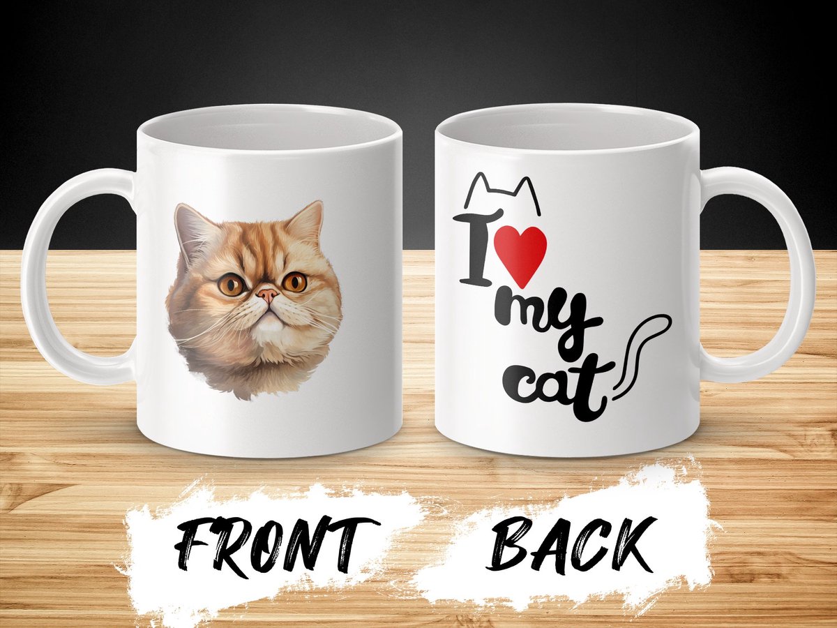 Mok Exotic Shorthair cat - kat - I love my cat - cat lovers - katten