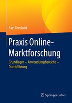 Praxis Online Marktforschung