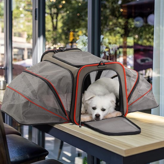 Sac de transport pliable pour chat et chien, boîte de transport