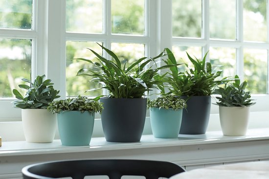 Elho Brussels Rond 20 - Pot De Fleurs pour Intérieur - Plastique 100% recyclé - Ø 20.0 x H 18.7 cm - Anthracite