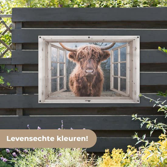 Affiche de jardin Scottish Highlander - Vache - Berg - Transparent - 120x80 cm