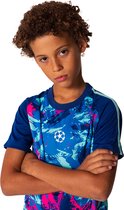 Champions League tenue - blauw - Maat 164 - Voetbaltenue Kinderen - Blauw