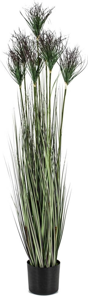 homebound by ky Kunstplant gras | 150cm | gras kunstplant Groen