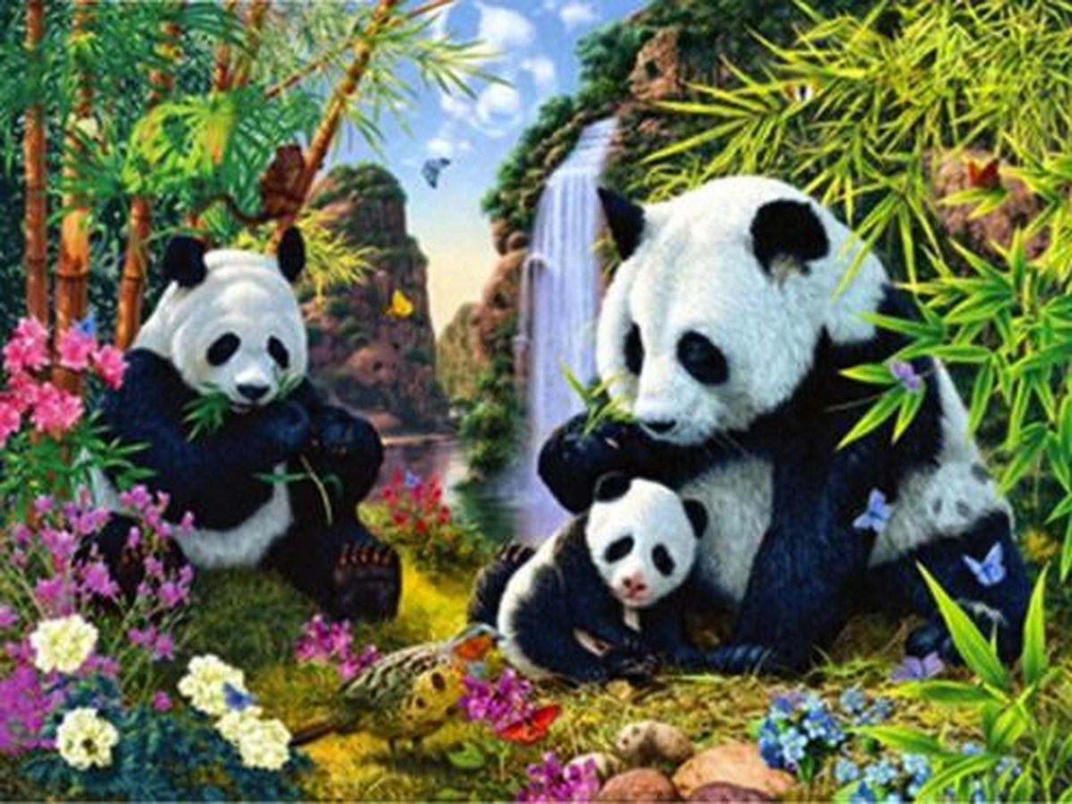 Diamond Painting - Panda's eten bamboe - FULL - Vierkant - 40x30 cm - SEOS Shop ®