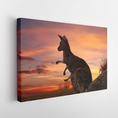 Mother kangaroo with joey in pouch, legs sticking out on a fiery sunset evening in outback NSW - Modern Art Canvas  - Horizontal - 572122372 - 115*75 Horizontal