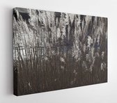 Onlinecanvas - Schilderij - Sea Oat Grass Art Horizontal Horizontal - Multicolor - 75 X 115 Cm