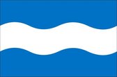 Vlag gemeente Maassluis 100x150 cm