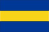 Vlag gemeente Papendrecht 200x300 cm