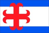 Vlag gemeente Zutphen 200x300 cm