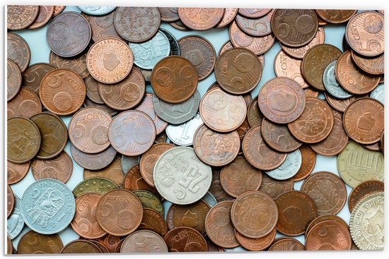Forex - Nederlandse munten  - 60x40cm Foto op Forex