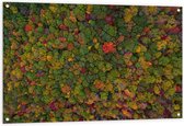Tuinposter – Gekleurde Bomen van Bovenaf - 120x80cm Foto op Tuinposter  (wanddecoratie voor buiten en binnen)
