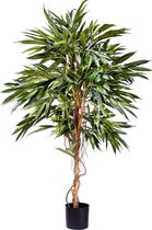 Kunstplant Longifolia Royaal 150 cm