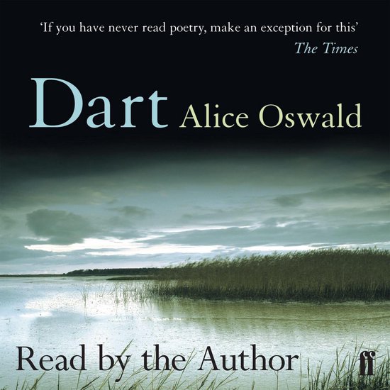 Dart - cover