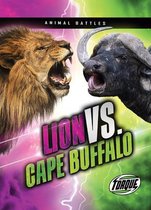 Animal Battles- Lion VS. Cape Buffalo