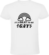 It's okay to be gay  Heren t-shirt | homo | gaypride | gayparade | lesbian | lesbisch | liefde | kado | Wit