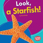 Bumba Books ® — I See Ocean Animals - Look, a Starfish!