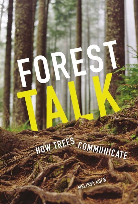 Forest Talk - cover