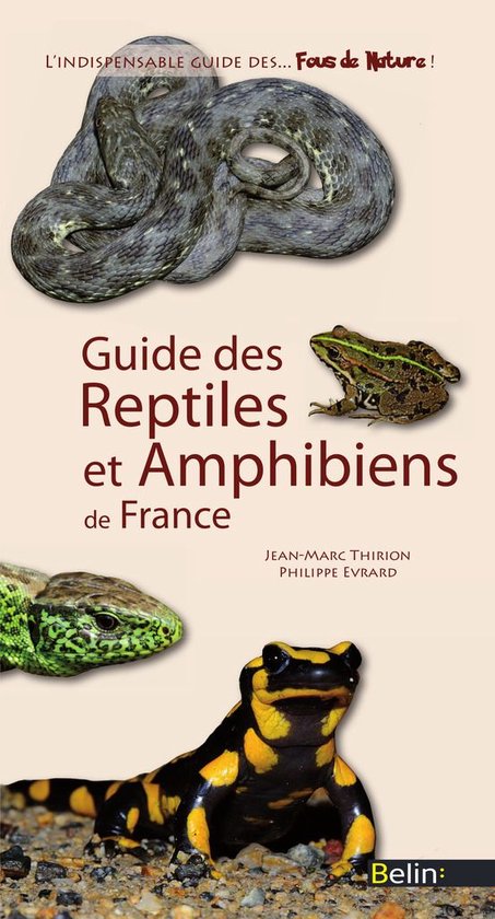 Amphibiens et Reptiles