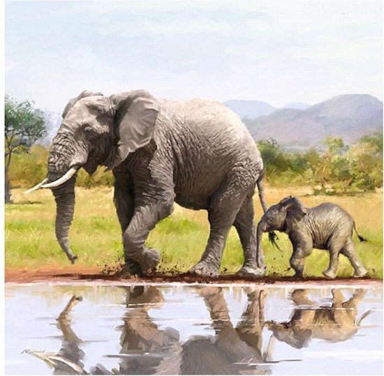 Crystal Card Kit | Diamond painting Elephants